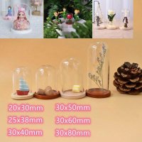 15/18pcs 나무 기본 항아리 디스플레이 스탠드 Terrarium 병 디스플레이 꽃 홈 장식 먼지 커버 상자와 미니 유리 돔 Cloche