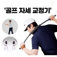 턴라이너 스포 가정용 골프존 트레이너 몸통회전