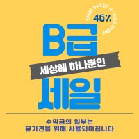 B타입 강아지 고양이 인식표 B급 네임택 이름표