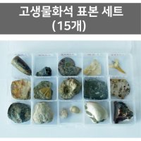 화석표본 관찰용 고생물화석 표본세트 15개 실험실