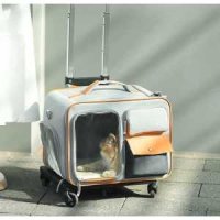 반려묘 캐리어 고양이 투명 이동장 백팩 가방 산책