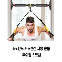 trx밴드 서스펜션 저항 운동 푸쉬업 스트랩