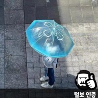 해파리우산 해파리 귀여운 특이한 양산 투명 감성 일본