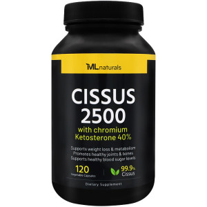 마이라이프 <b>시서스</b> 2500 120베지캡슐