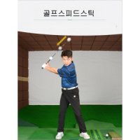 골프스피드스틱 Caiton 카이튼 골프 연습기 golf 볼 자기