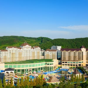 천안대명 객실 및 조식,워터파크 전 타입 예약