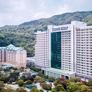 비발디파크오크 파인 체리동 취사 클린 펫 예약