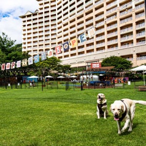 소노펫(애견) 비발디파크 [룸온리] 실버스위트(방2) 파크뷰 6인기준~최대9인