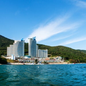 소노캄 거제(구 거제대명) [룸온리 | 애견동반객실 Pet Friendly] 패밀리(원룸) 오션뷰 취사