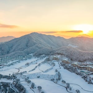 광고 메인 이미지