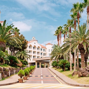 소노벨 제주대명 취사,클린 오션뷰 전평형 예약