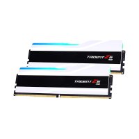 지스킬 DDR5 PC5-48000 CL30 TRIDENT Z5 RGB 화이트