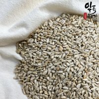 볶은 해바라기씨 1kg 구운 해바라기씨 볶음  1개