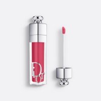 DIOR 디올 어딕트 립 맥시마이저 029 인텐스 그레이프