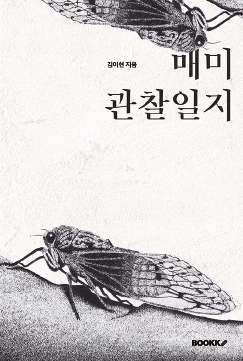 매미 관찰일지