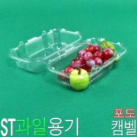 과일용기 포도포장용기 방울토마토용기 ST캠벨 600개