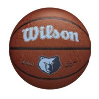 [아마존]WILSON NBA 팀 얼라이언스 농구 - 멤피스 그리즐리, 사이즈 17.8-74.9cm(7-29.5인치)