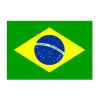 브라질 BRAZIL 국기 FLAG 남미 깃발 세계 만국기 깃발