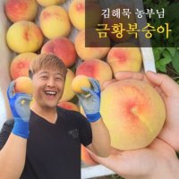 천상의 맛 금황 복숭아 2.5kg10과내외