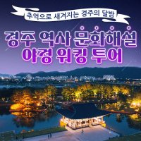 [경주] 야경투어 문화해설사 가이드 동행 문화역사 도보 여행