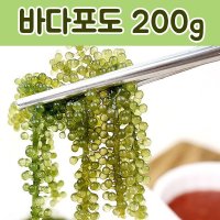 대진엠에스 프리미엄 바다포도 200g ASMR  1개