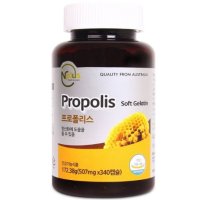 엔플러스 프로폴리스 507mg x 340캡슐 Nplus Propolis 코스트코 구매대행