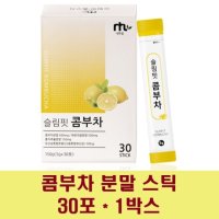 [네투랄] 콤부차 발포 무알콜 탄산수 발효콤부차 비타민c 레몬맛 홍차 분말 유산균 사과초모식초 프로바이오틱스 장음료 먹는법 효능