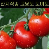 Cc4Xc1 5kg 토마토효능 흙토마토 방울토마토 고씨네 특급