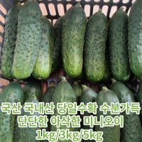 국산 국내산 당일수확 수분가득 단단하고 아삭한 미니오이 1kg/3kg/5kg 미니오이1키로 아삭미니오이 미니오이스낵오이 피클용미니오이 피클오이 미니오이 베이비오이 꼬마오이  5kg