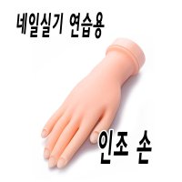 네일실기재료 손 모형  숏 오벌 500tip 세트