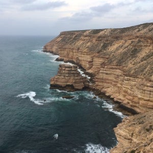 핑크 레이크 3일 2일 투어