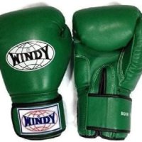 WINDY Boxing Glove 윈디 킥 권투 장갑 8온스 녹색 green