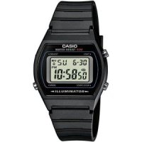 Casio 카시오 컬렉션 다기능 알람 남성용 시계 W202-1A