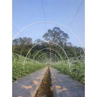 비닐하우스 강선 활대 텃밭 터널 보온 농업용 10개