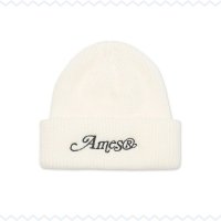 국내정품상품 AMES-WORLDWIDE LOGO BEANIE