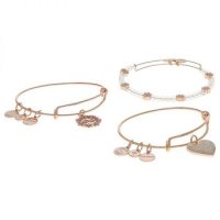 3509498 Alex and Ani 알렉스 앤 애니 가족 팔찌 3종 세트