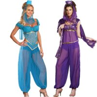 Adult Arabic Dance Costume Sets Sexy Goddess GENIE Jasmine Aladdin Princess Costume Indian Bollywood