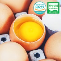 [무항생제/HACCP] 농장직송 웰굿 신선한 계란 20구[1판,대란]