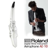 Roland Aerophone AE-10 (에어로폰 화이트) AE10  화이트