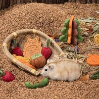 Small Pet Molar Biscuit Hamster Carrot Molar Biscuit Landscaping Supplies