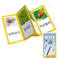 5인용 가을 곤충 책만들기 유아 만들기키트 북아트