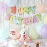 핑크캔디 강아지 생일파티 세트 미니 고깔 화환set