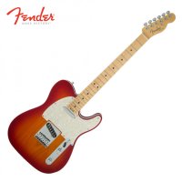 펜더 Fender Mexico Player Telecaster MN CAR