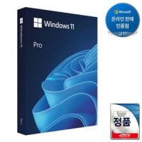 마이크로소프트 마이크로소프트 WINDOWS 11 PRO 패키지 윈도우 11 FPP 윈11프로