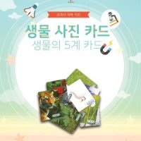 초등학교 과학 수업용 교구 교재 학생용 생물 사진 카드 25종 과학실습 실험용