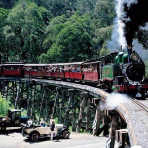 멜버른 퍼핑빌리 증기기관차 기차 투어 + 필립섬 펭귄 퍼레이드