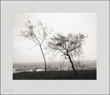 Robert Adams: Los Angeles Spring