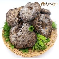 자연산 능이버섯 냉동 B급/1kg 햇능이버섯