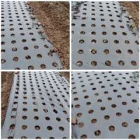 유공비닐 농업용 텃밭농사 논농사 마늘 양파 상추 고추 재배 구멍