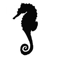 22x28 Seahorse Stencil Made from 4 Ply Matboard